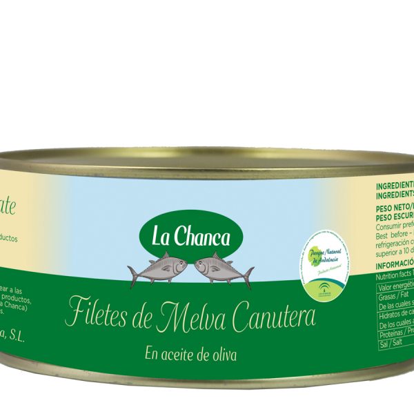 Lata grande de filetes de melva canutera en aceite de oliva