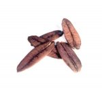 Varias huevas de bonito