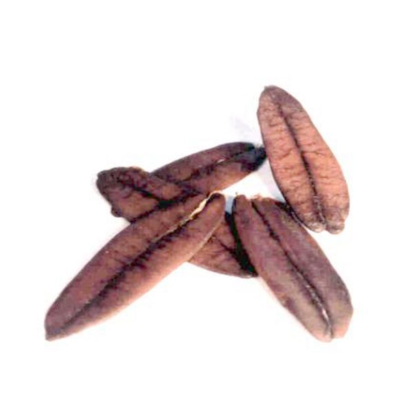 Varias huevas de bonito