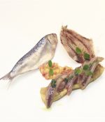 Sardina arenque entera y en filetes, servida con verduras y hierbas aromáticas